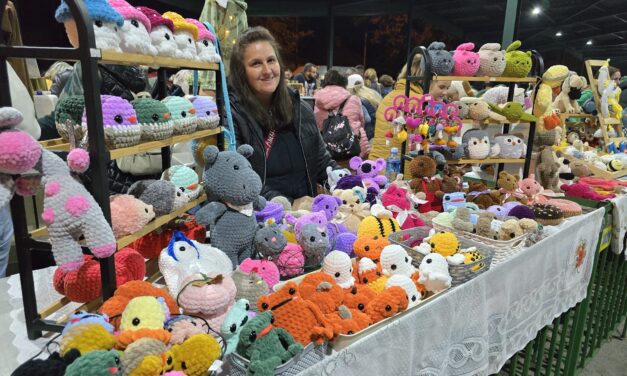 Posetite još jedan Noćni bazar u Zrenjaninu