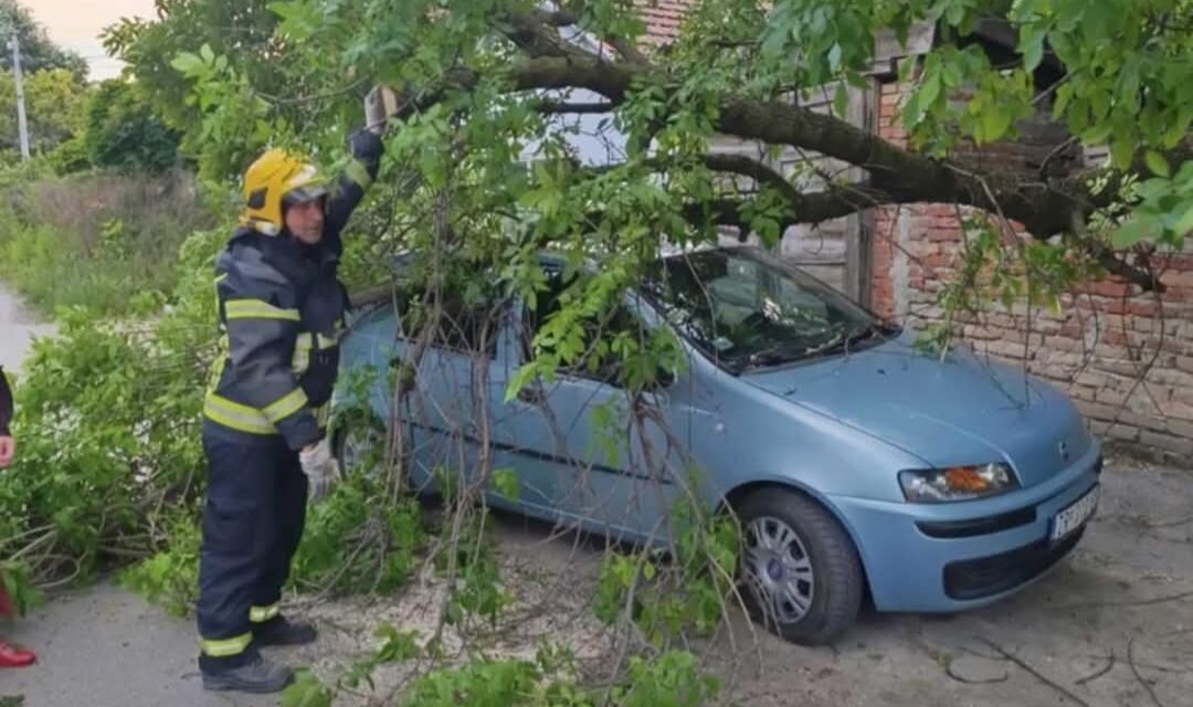 Saniranje posledica jakog vetra koji je zahvatio Zrenjanin