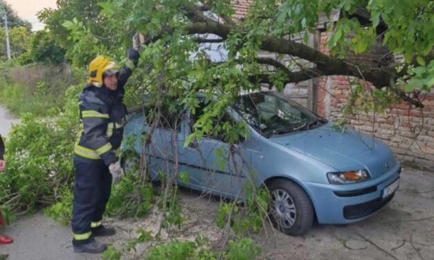 Saniranje posledica jakog vetra koji je zahvatio Zrenjanin