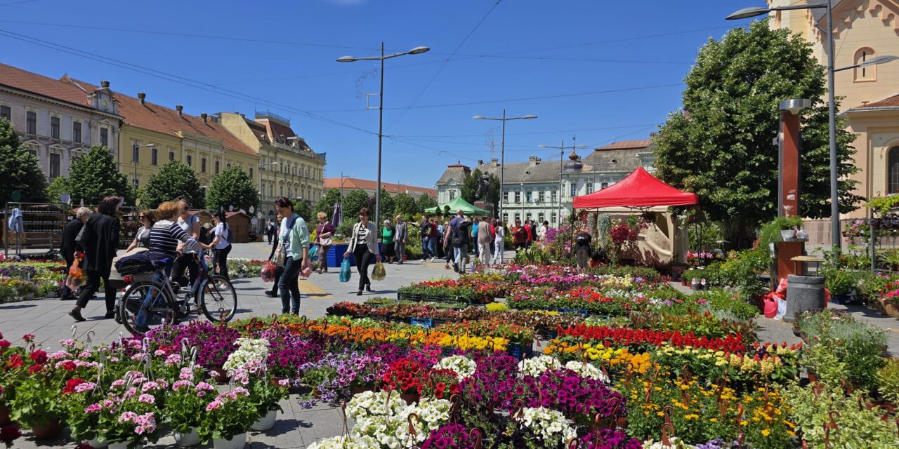 Počela cvetna pijaca u centru- Pogledajte bogatu ponudu