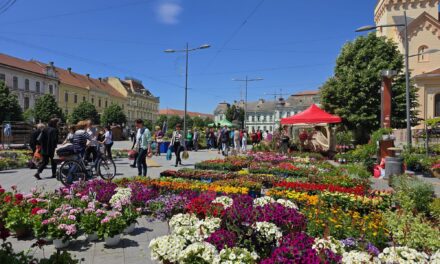 Počela cvetna pijaca u centru- Pogledajte bogatu ponudu