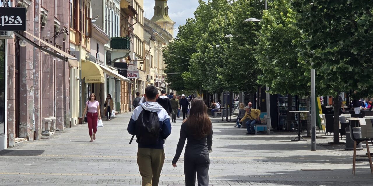 Javni poziv za kupovinu seoske kuće sa okućnicom