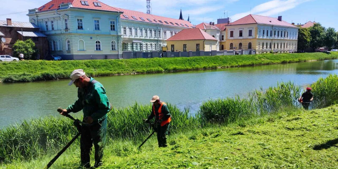 Sve površine će biti pokošene u najskorije moguće vreme