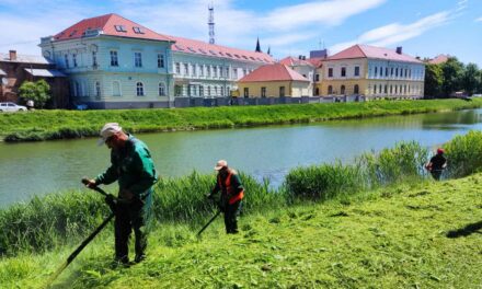Sve površine će biti pokošene u najskorije moguće vreme