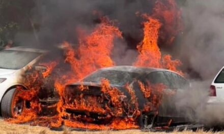 Izgorela tri automobila na kupalištu Peskara
