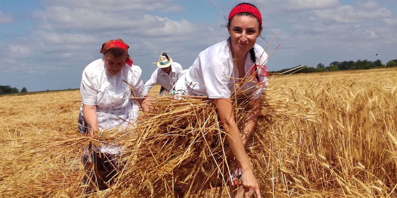 Tradicionalni „Žetelački dan“ u Mužlji ove godine na novoj lokaciji 