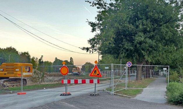Privremena zabrana saobraćaja za vozila u delu Pančevačke ulice