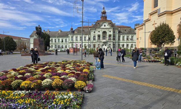 Počela jesenja cvetna pijaca u centru- Pogledajte bogatu ponudu
