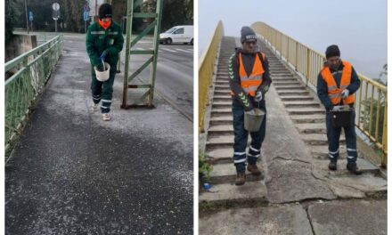 JKP „Čistoća i zelenilo“ obezbedilo 120 tona soli i 60 tona kamenog agregata za predstojeću zimu