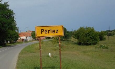 RADOVI NA IZVORIŠTU U PERLEZU