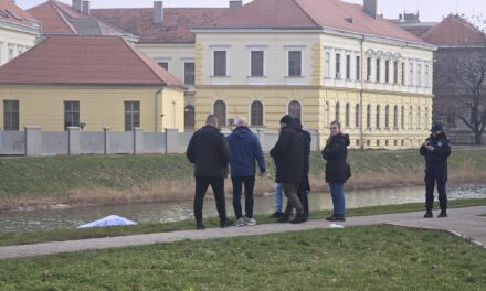 Pronađeno beživotno telo Manuela Ametova u gradskom jezeru