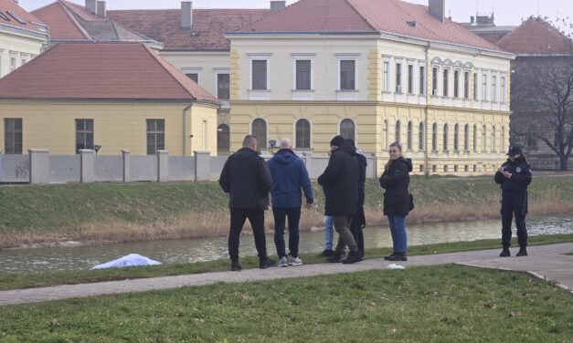 Pronađeno beživotno telo Manuela Ametova u gradskom jezeru