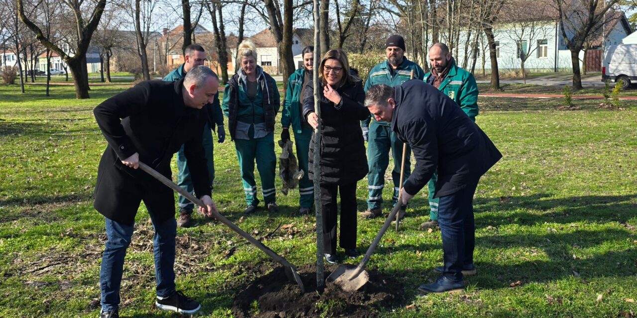 Počela druga faza rekonstrukcije Karađorđevog parka – zasađeno 180 novih sadnica