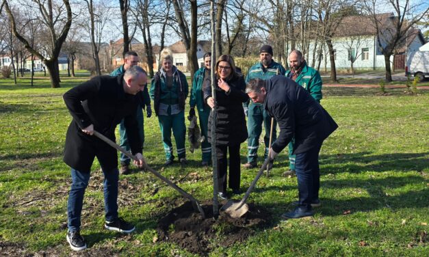Počela druga faza rekonstrukcije Karađorđevog parka – zasađeno 180 novih sadnica