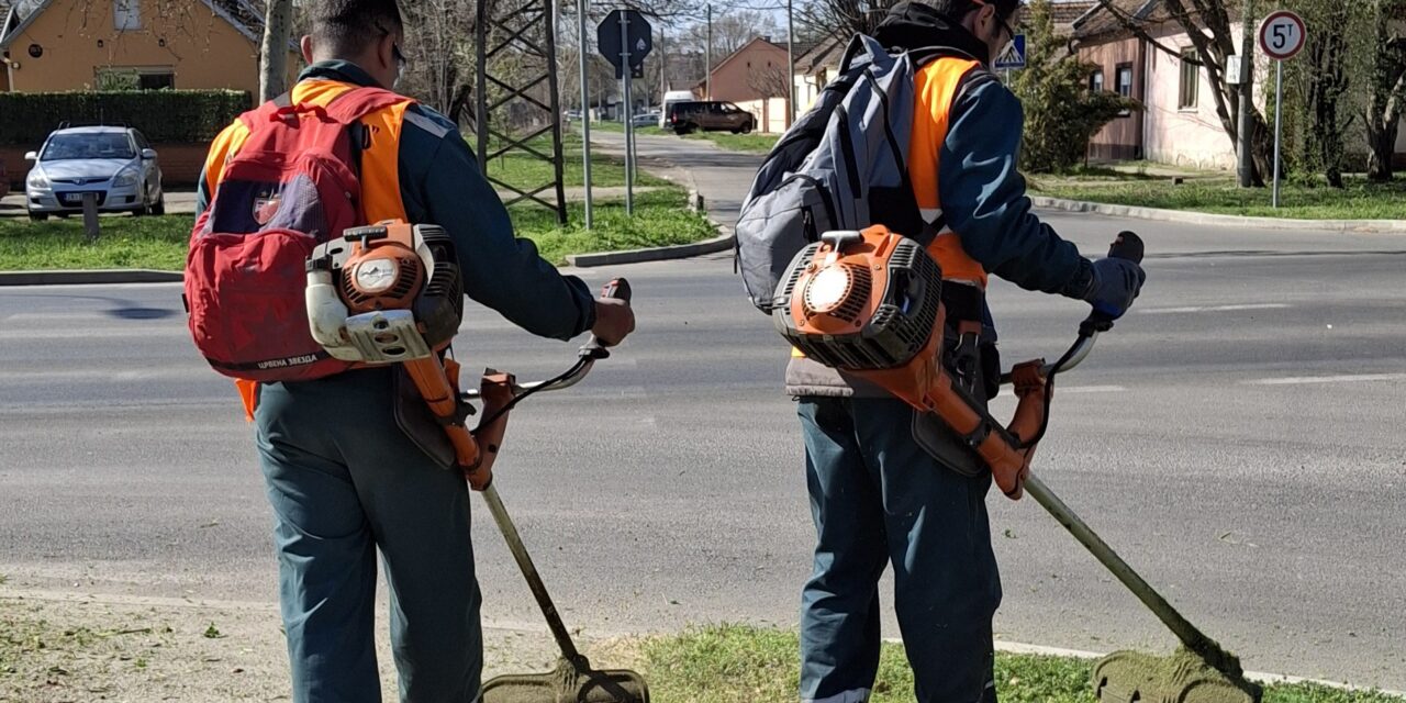 Radnici JKP „Čistoća i zelenilo“ Zrenjanin započeli košenje