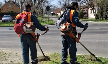 Radnici JKP „Čistoća i zelenilo“ Zrenjanin započeli košenje