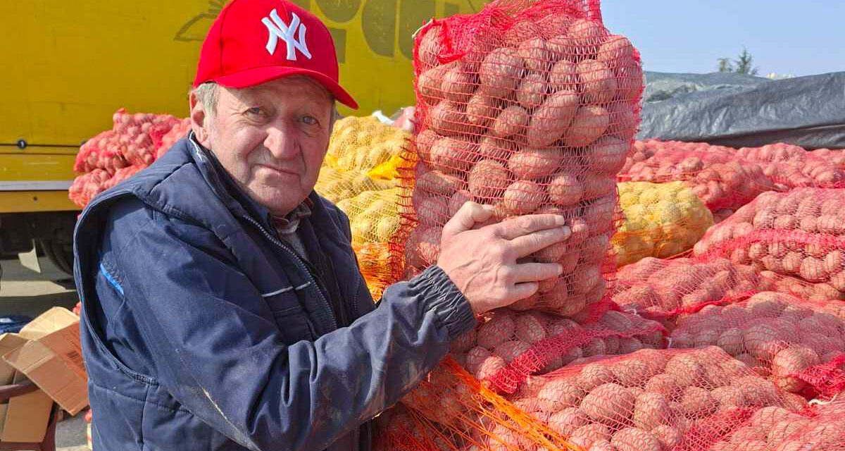 Četrdeset godina tradicije: Krompir sa Rajca prodaje se na zrenjaninskoj pijaci