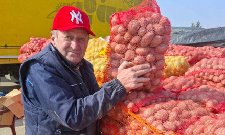 Četrdeset godina tradicije: Krompir sa Rajca prodaje se na zrenjaninskoj pijaci