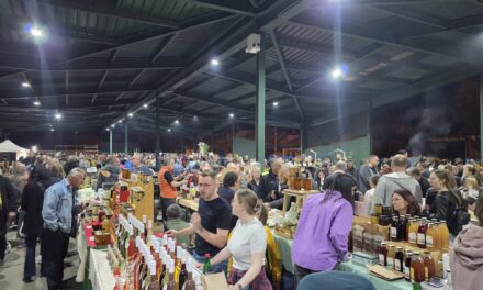 Počele prijave za 24. Noćni bazar u Zrenjaninu