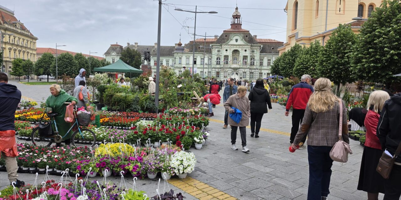 Uskoro Cvetna pijaca u centru Zrenjanina