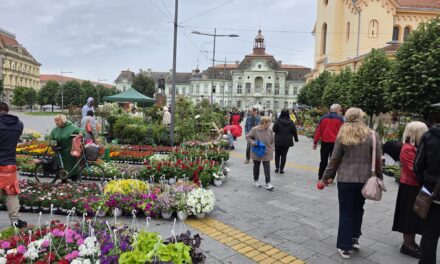 Uskoro Cvetna pijaca u centru Zrenjanina