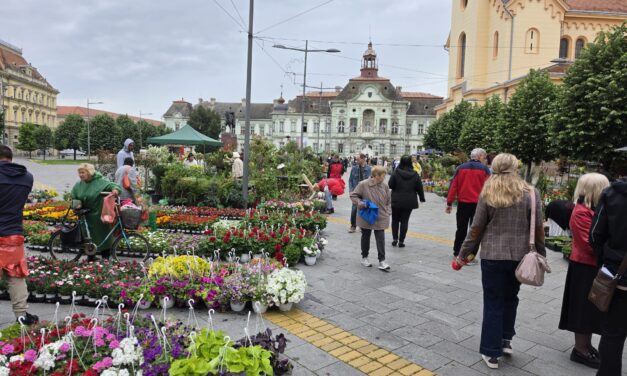 Uskoro Cvetna pijaca u centru Zrenjanina