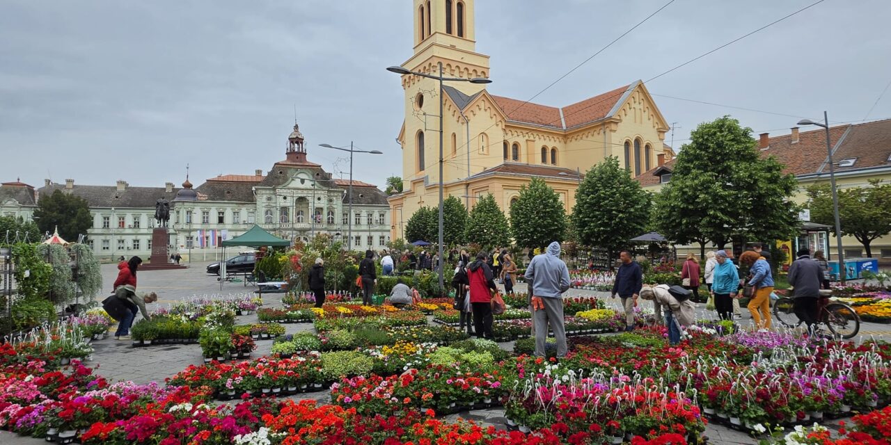 Počela Cvetna pijaca u centru Zrenjanina (FOTO)