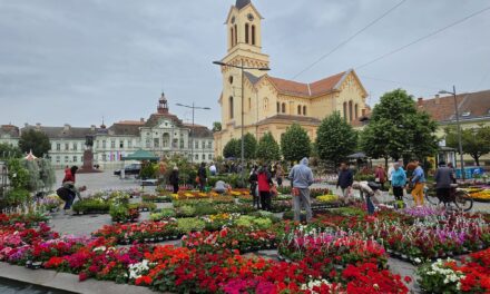 Počela Cvetna pijaca u centru Zrenjanina (FOTO)