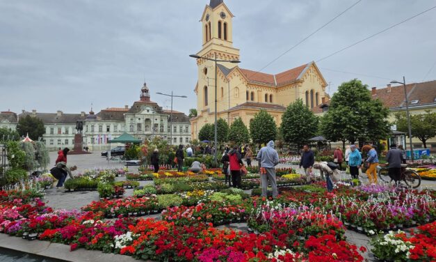 Počela Cvetna pijaca u centru Zrenjanina (FOTO)