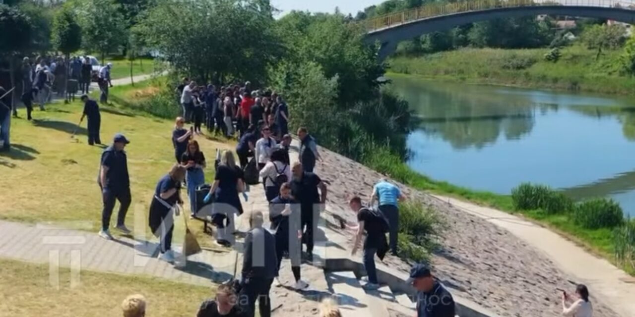 Članovi i simpatizeri SNS-a sređivali Pristan na Begeju- Dok neki pričaju mi radimo