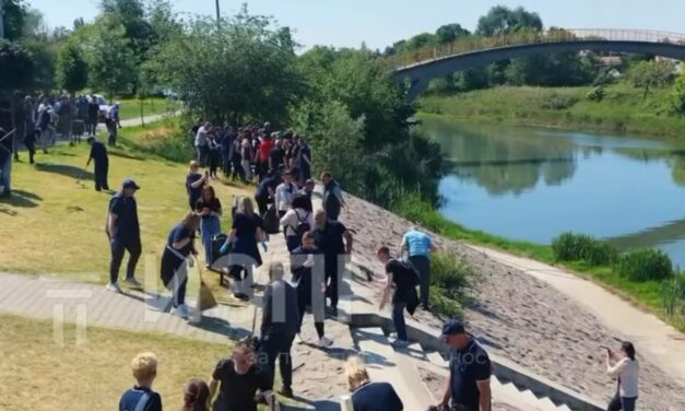 Članovi i simpatizeri SNS-a sređivali Pristan na Begeju- Dok neki pričaju mi radimo