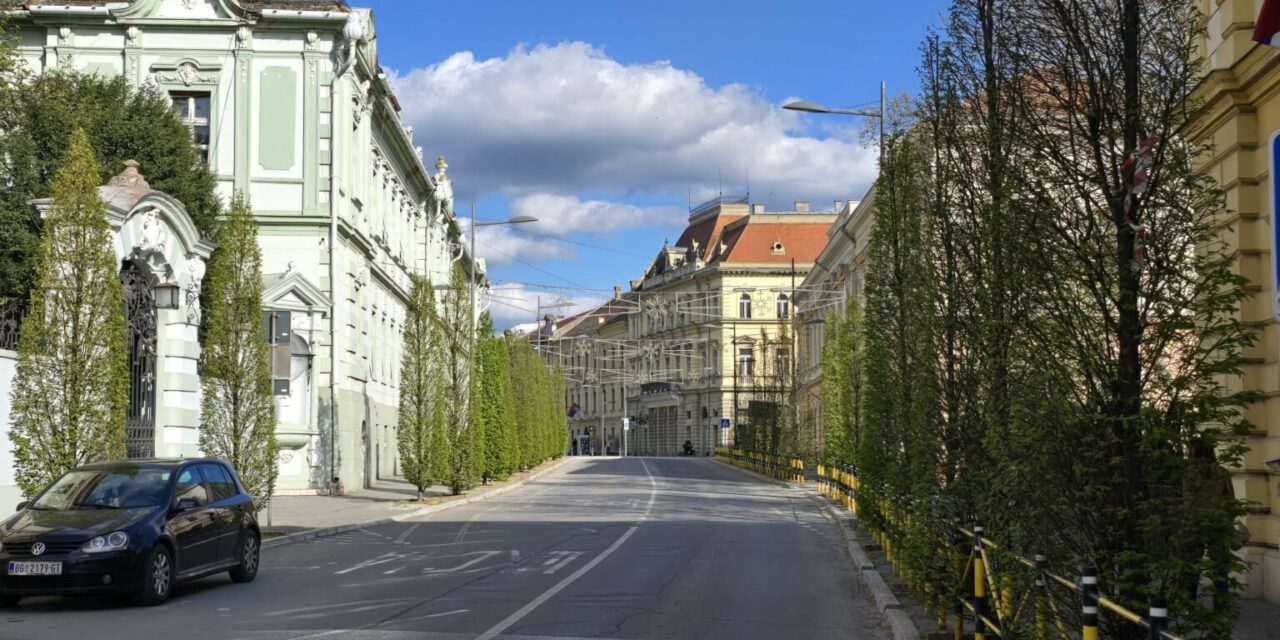 Tretiranje drvoreda za vikend u centru grada