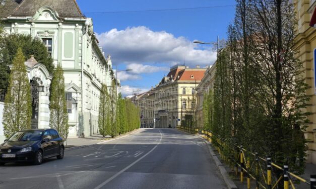Tretiranje drvoreda za vikend u centru grada
