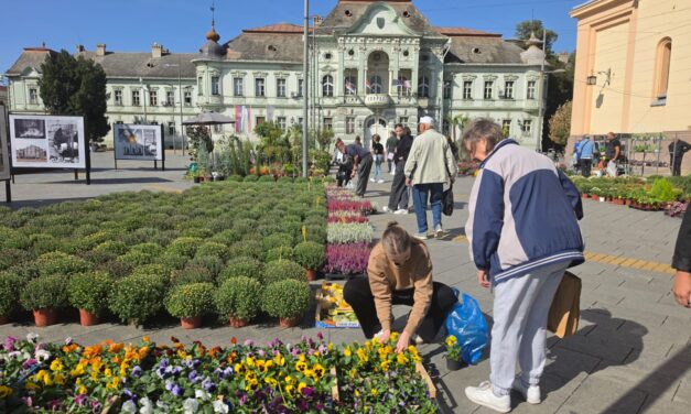 Posetite jesenju Cvetnu pijacu u centru grada