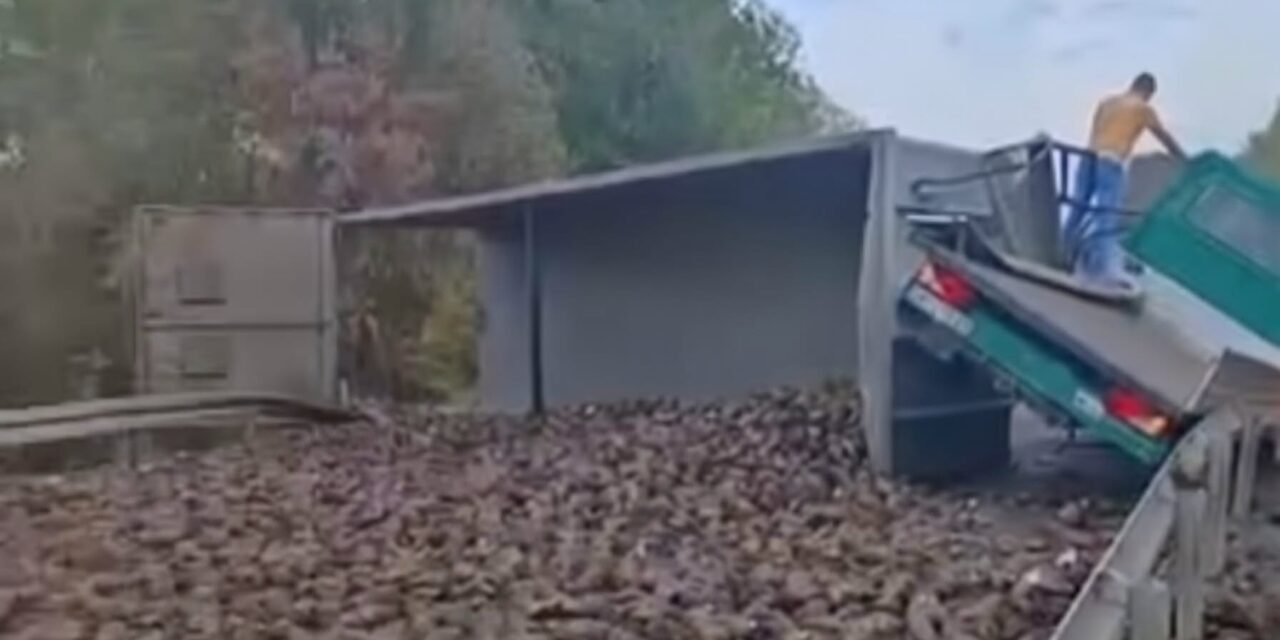Lančani udes na Tiskom mostu- Saobraćaj obustavljen